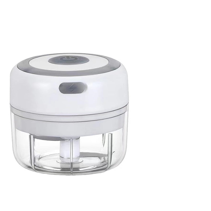 PowerBlitz Mini Chopper,USB Rechargeable Electric Garlic And Vegetable Chopper