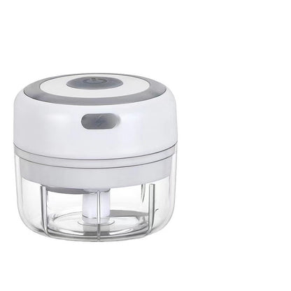 PowerBlitz Mini Chopper,USB Rechargeable Electric Garlic And Vegetable Chopper