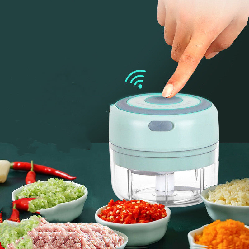 PowerBlitz Mini Chopper,USB Rechargeable Electric Garlic And Vegetable Chopper
