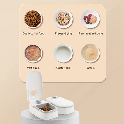 PetPlate Gravity Food Water Dispenser