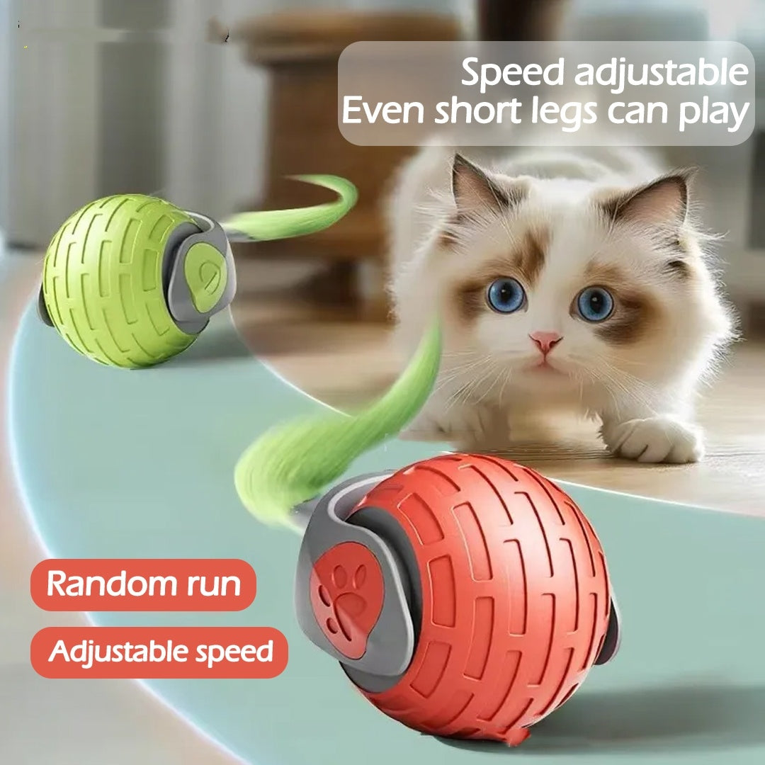 Interactive Cat Toys Ball, Auto Electric Rolling Ball Toys For Cat Kitty, Pets Smart Automatic USB Rechargeable Toy