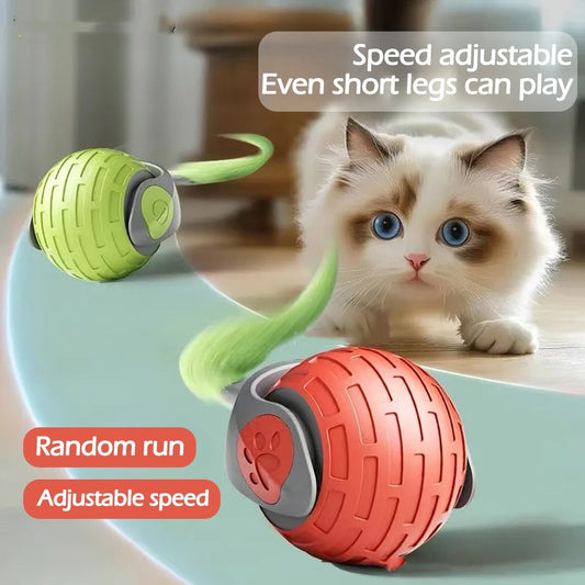 Interactive Cat Toys Ball, Auto Electric Rolling Ball Toys For Cat Kitty, Pets Smart Automatic USB Rechargeable Toy