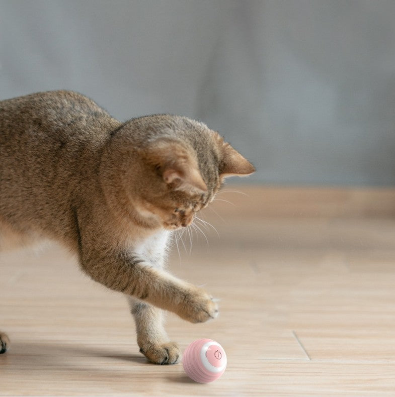 Interactive Self Moving Cat Ball
