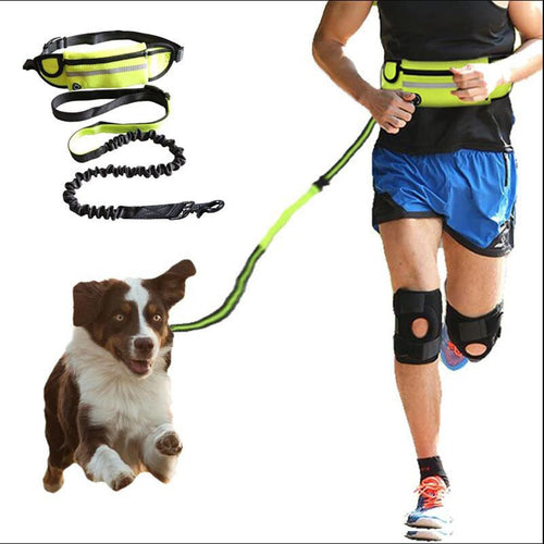 Hands Free Dog Leash Pet Walking And Training Belt With Shock Absorbing Bungee Leash, Phone Pocket And Water Bottle Holder
