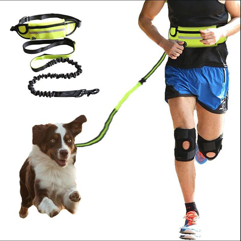 RunFree Hands Free Dog Leash
