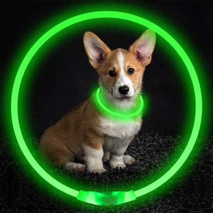 NiteBrite USB Rechargeable Safety Collar