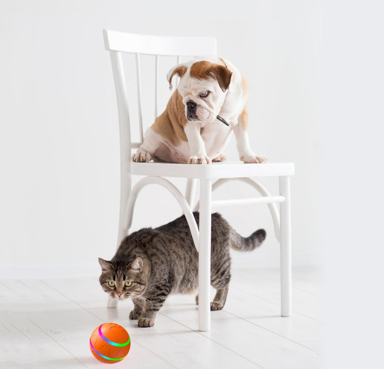 Cat Wicked Ball Toy, Intelligent Ball USB Cat Toys, Self Rotating Ball Automatic Rotation Ball