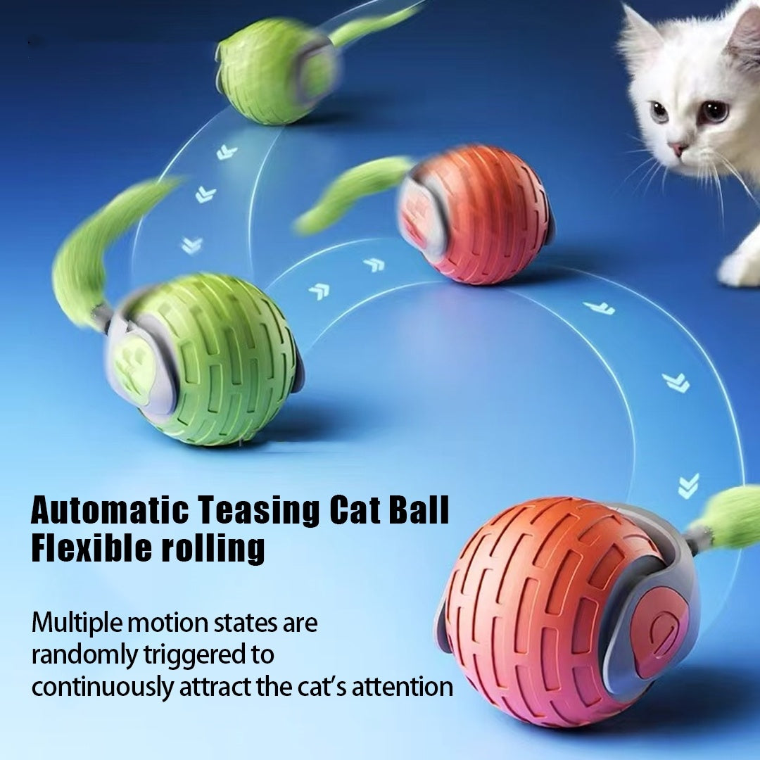WhiskerPlay Automatic Rolling Ball Toy