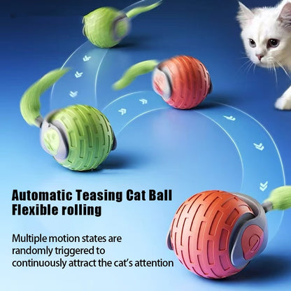WhiskerPlay Automatic Rolling Ball Toy