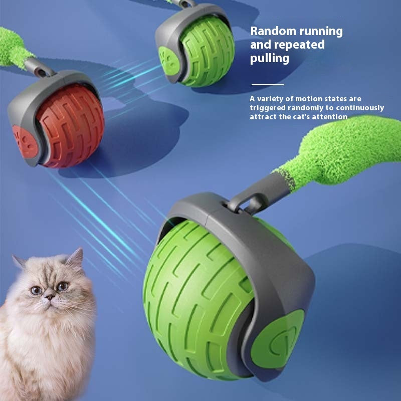 WhiskerPlay Automatic Rolling Ball Toy