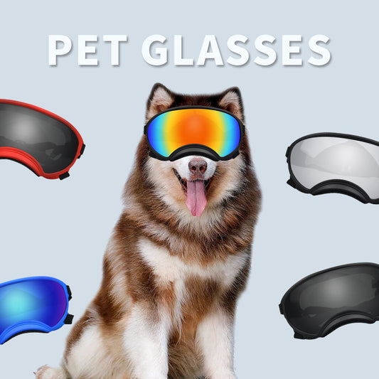 AlpinePaw Windproof Ski Goggles